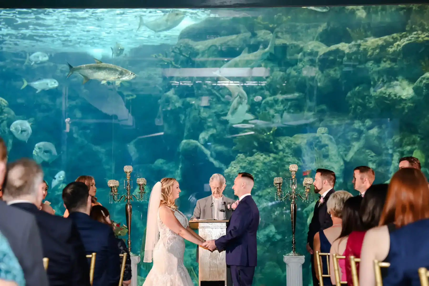 Wedding party gathered beneath the fish tank during Erin and Sean’s wedding at The Florida Aquarium