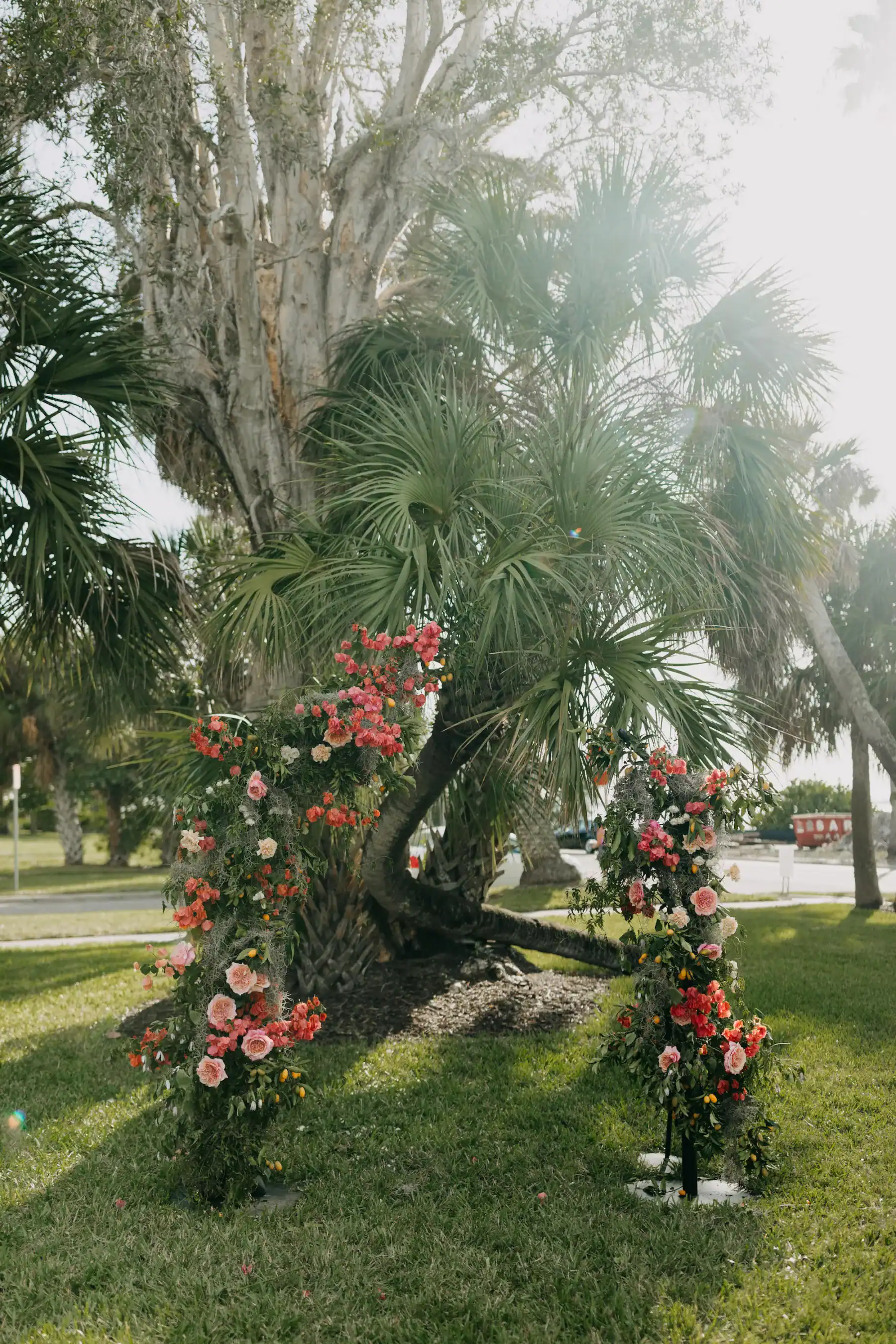 Ceremony Arches and Backdrops
