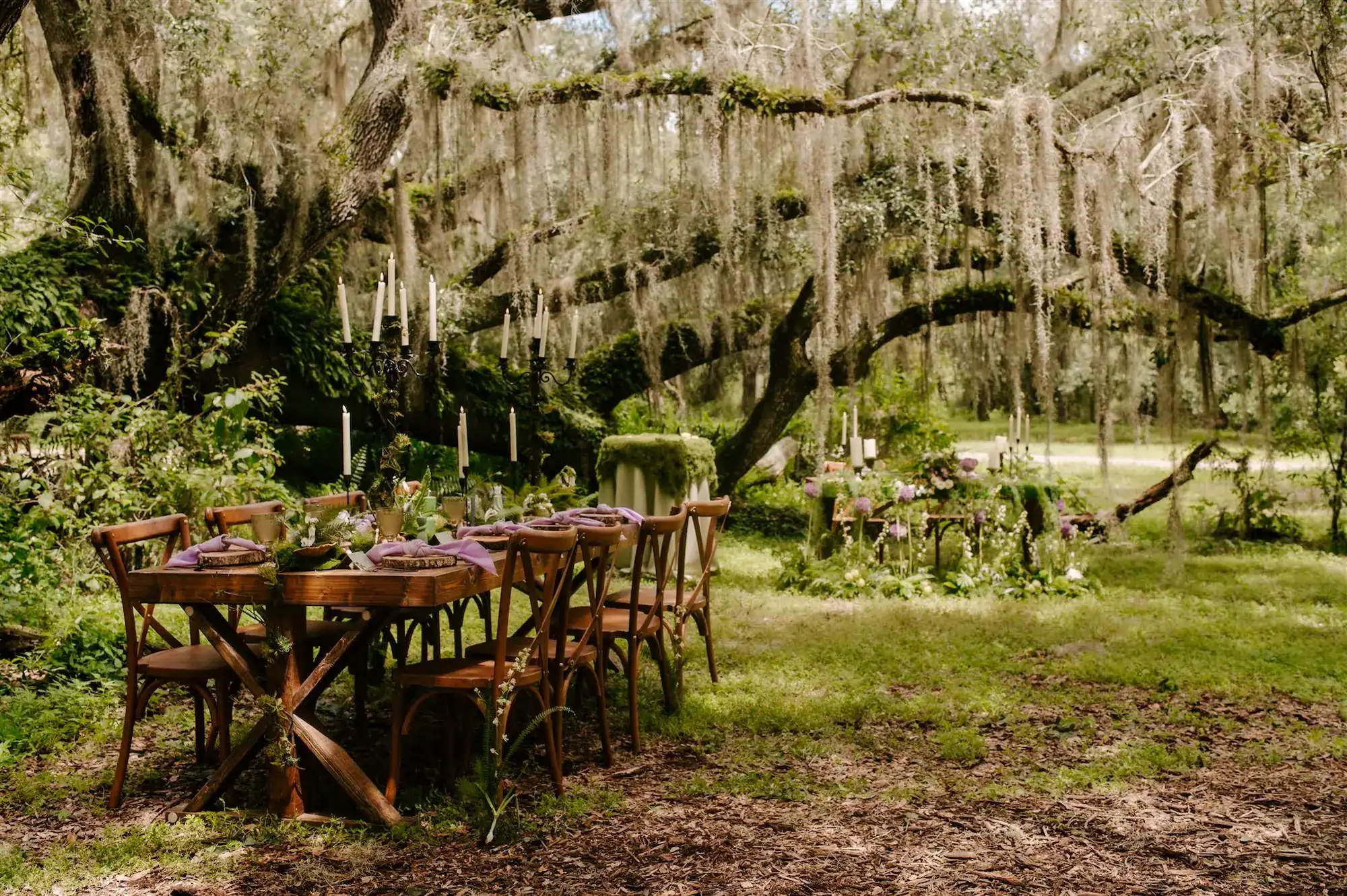 Woodland forest wedding reception dining setup with wooden crossback chairs at Mill Pond Estate