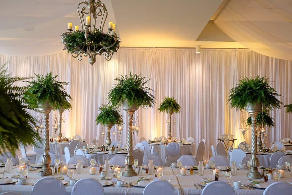 Elegant wedding reception at the Tampa Garden Club featuring custom ceiling draping, tall fern centerpieces, and white garden decor