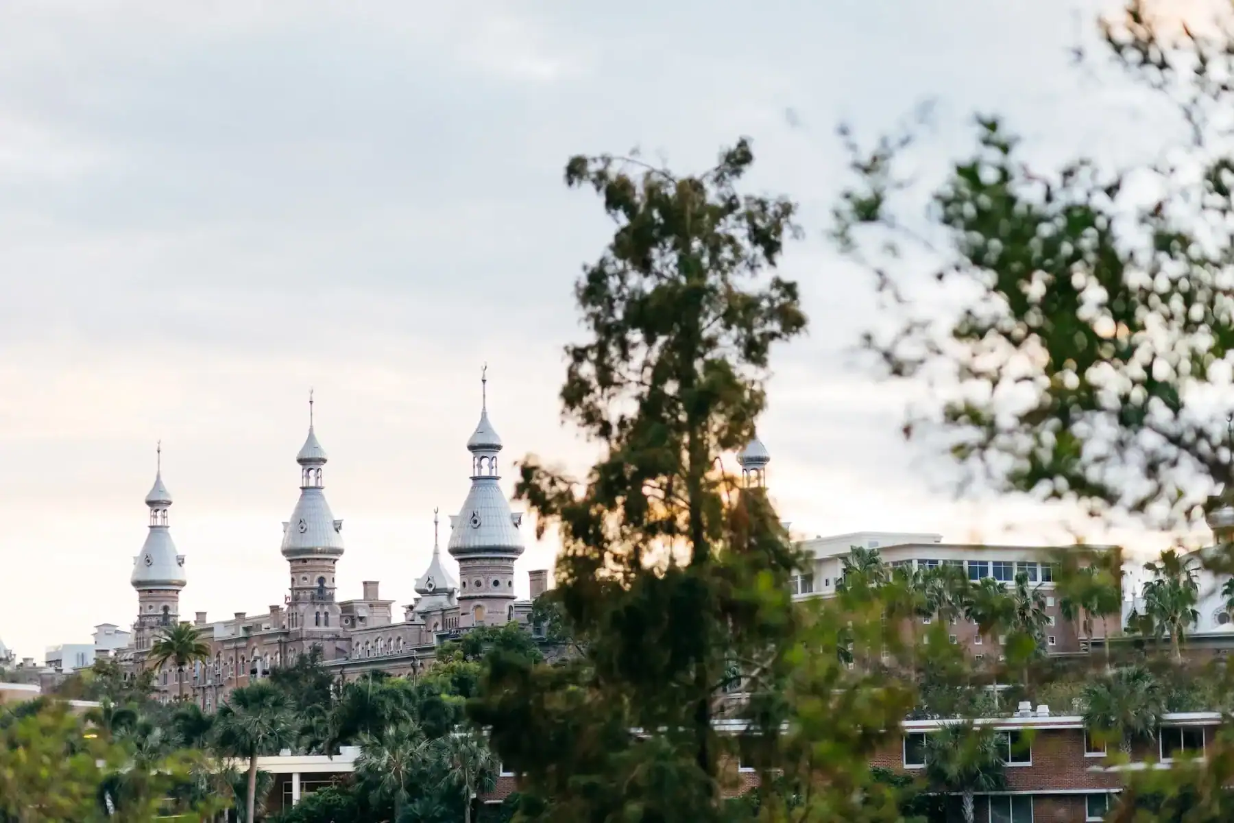 Contemporary Modern Black Wedding | Tampa Museum of Art