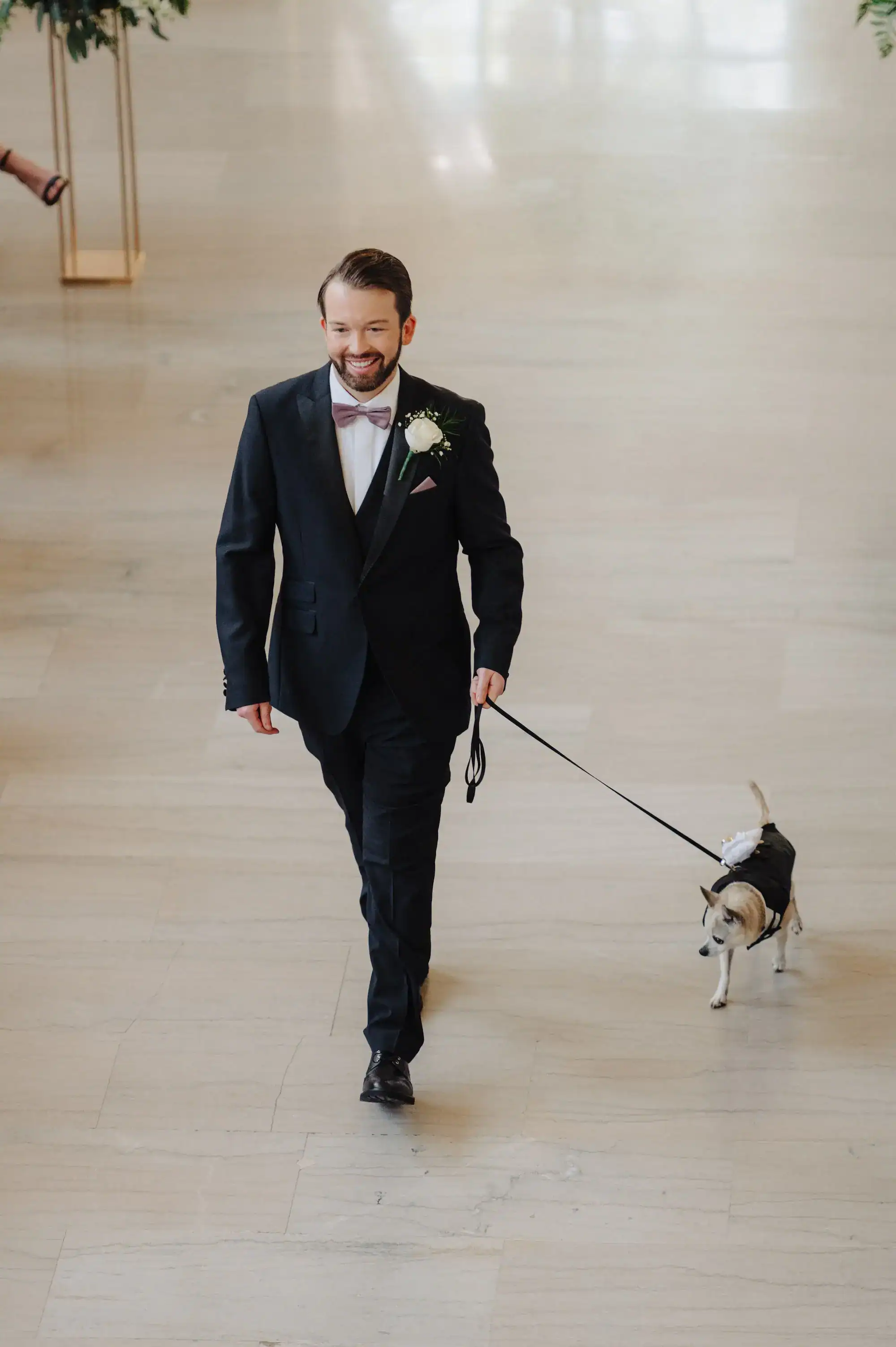 A senior chihuahua dressed as a ring bearer at a Tampa wedding ceremony.